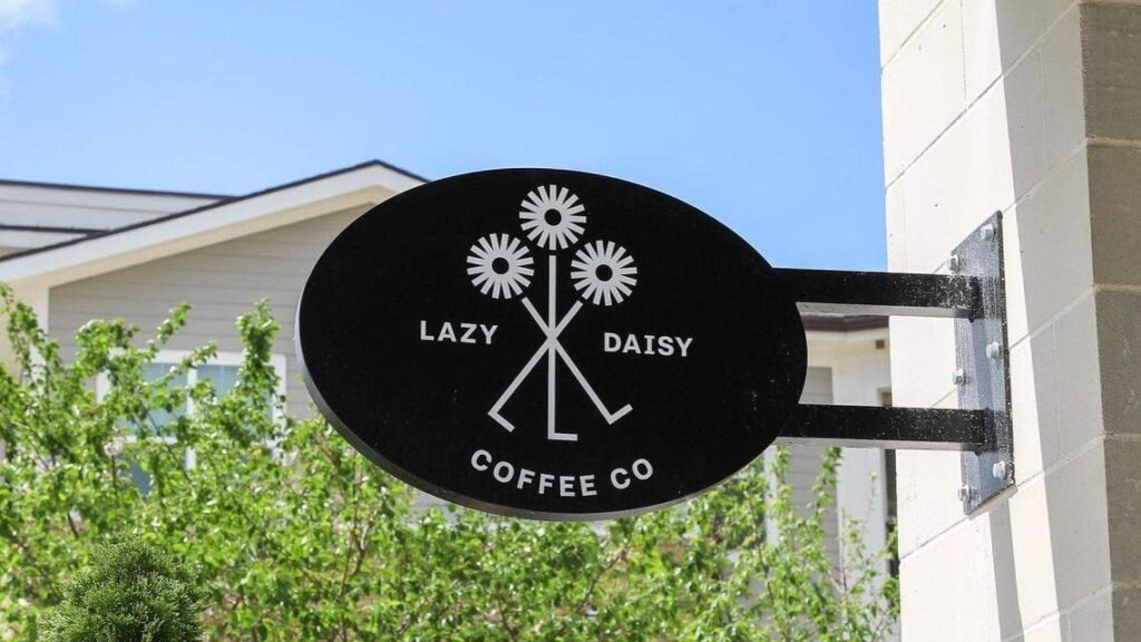 lazy daisy